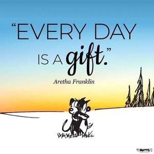 Meet your Posher, Ellen